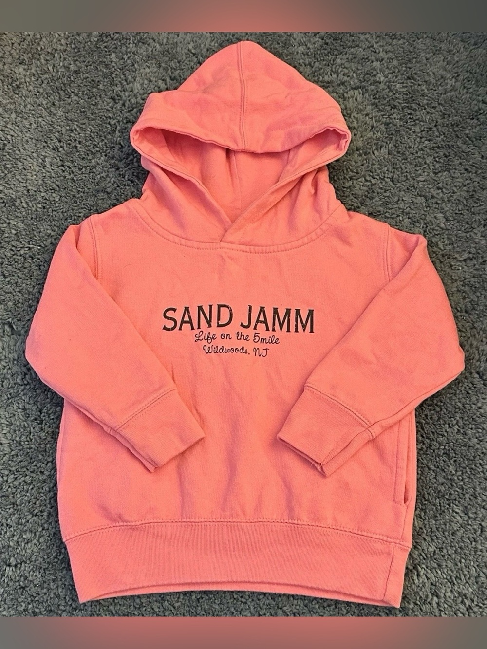 Gildan Toddler Girls 2T Pink Sand Jamm Wildwood Custom Graphic Pullover Hoodie